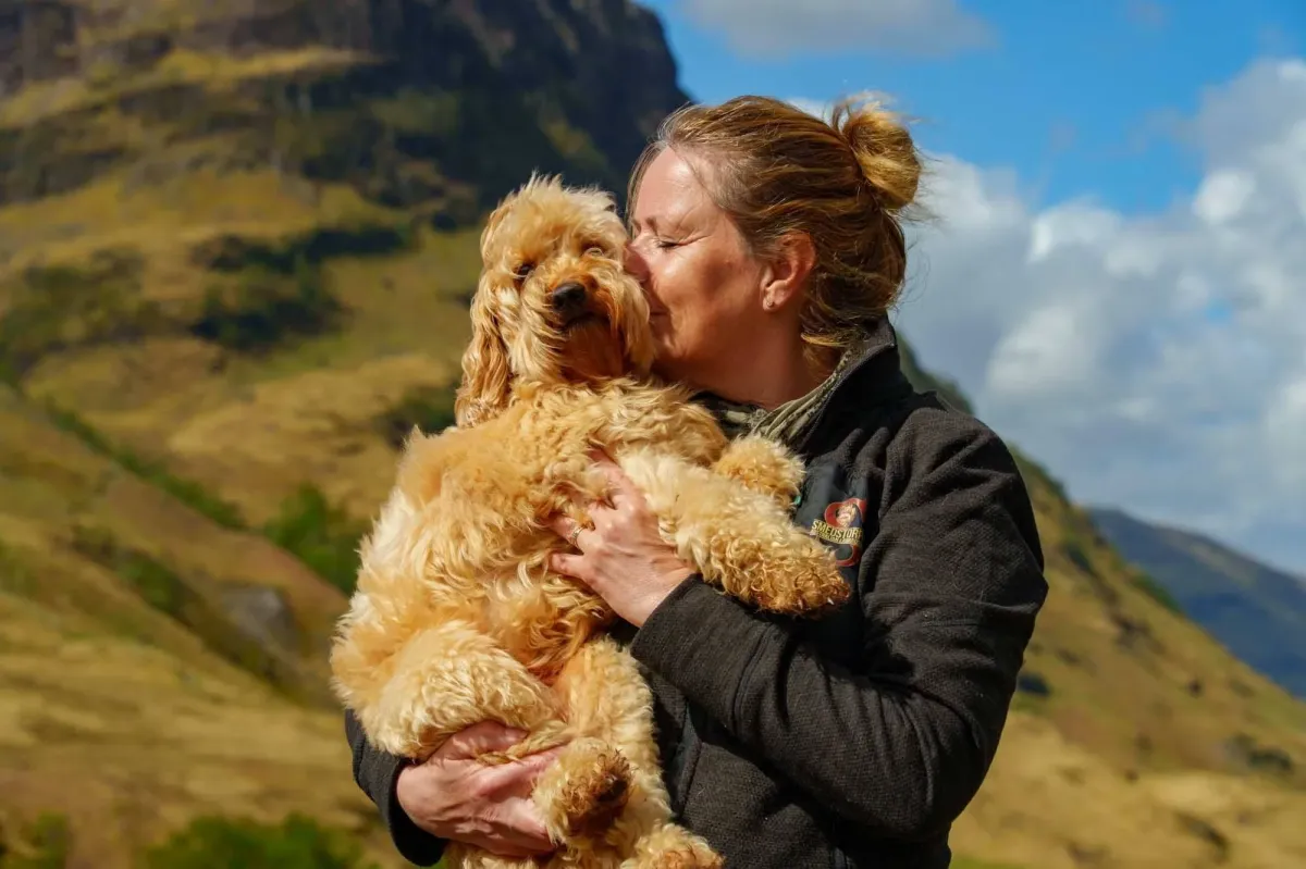 smedstorpet labradoodle