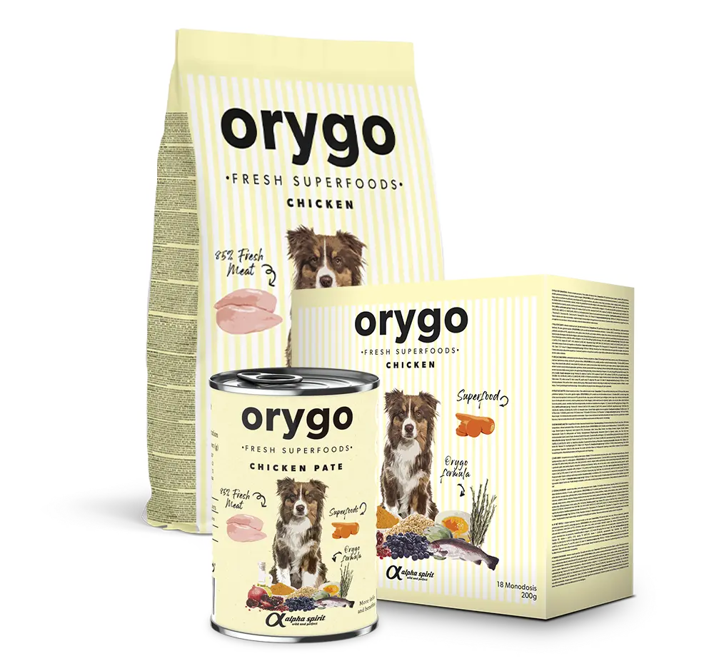 ORYGO Puppies