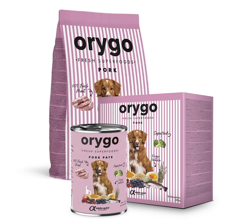 ORYGO Puppies