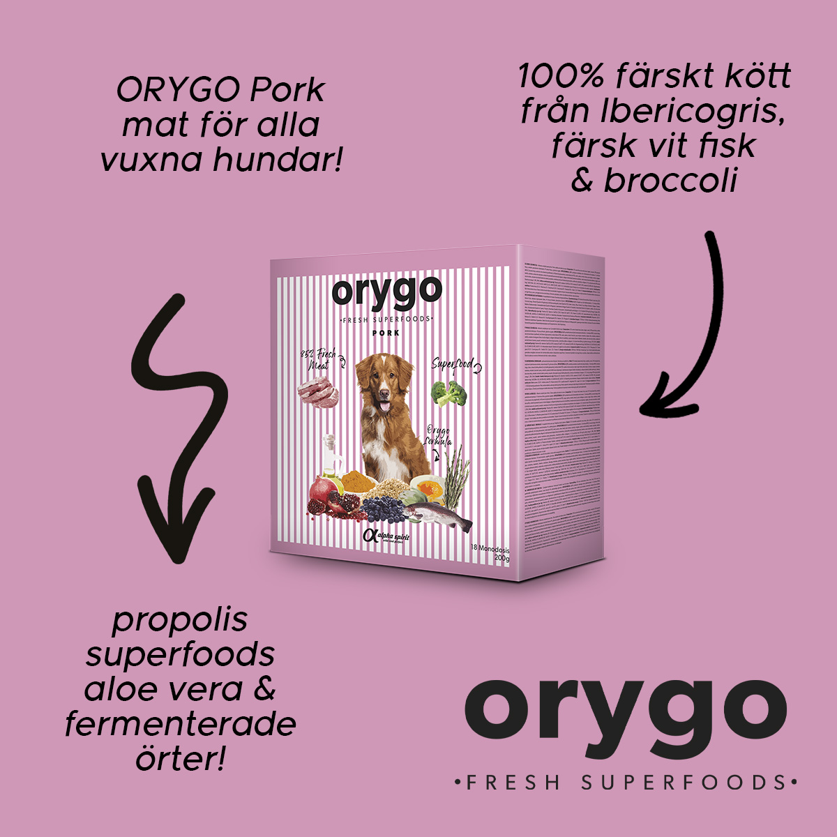 ORYGO Pork hundfoder med iberisk gris och vit fisk