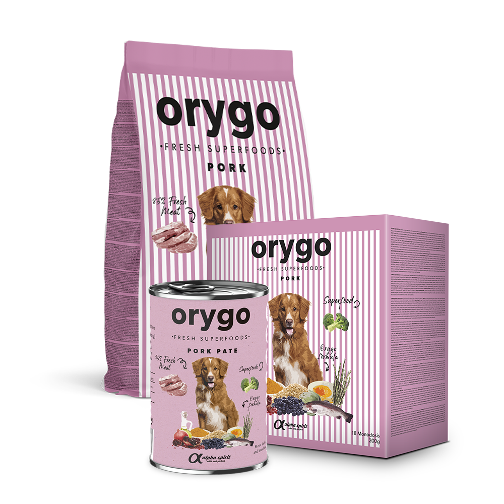 ORYGO Adult Pork hundfoder med Ibericogris