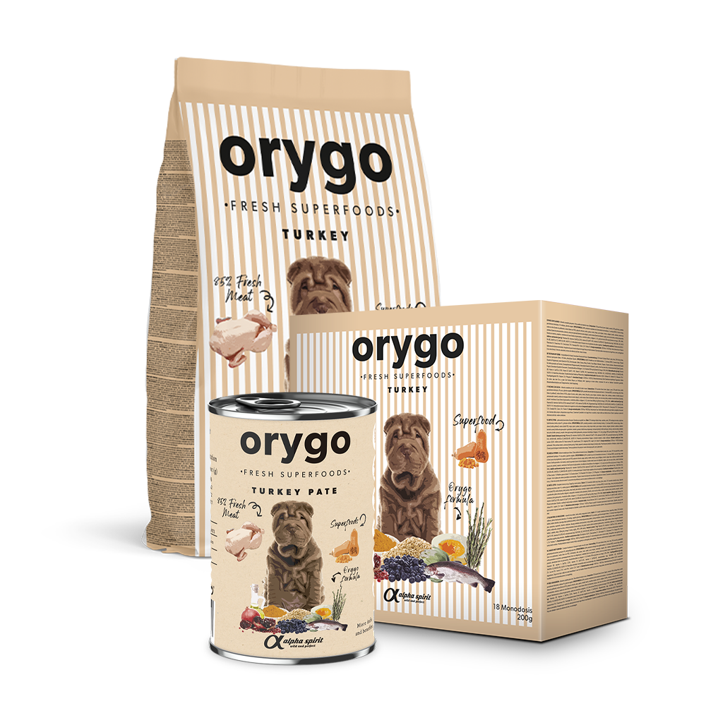 ORYGO Adult Turkey hundfoder med färsk kalkon