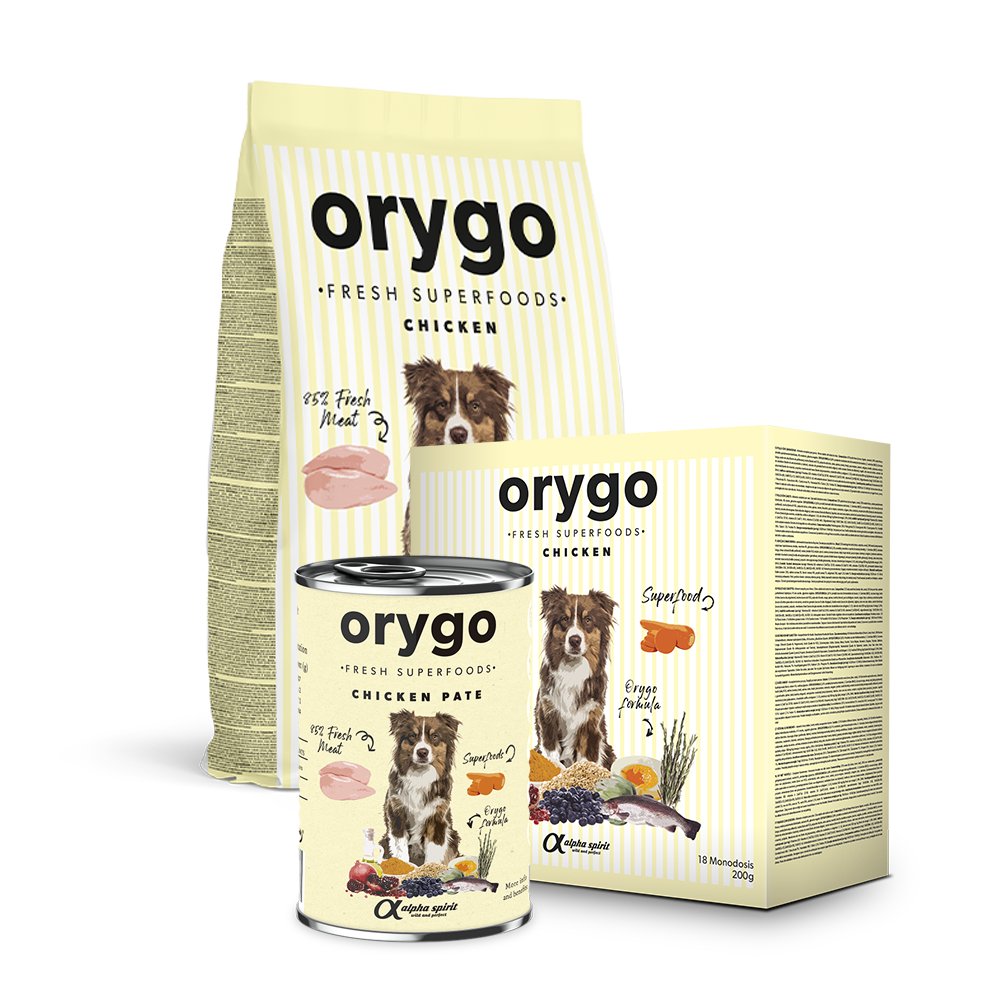 ORYGO Adult Chicken hundfoder med färsk kyckling