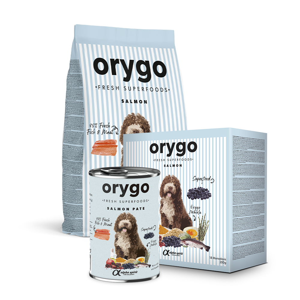 ORYGO Adult Salmon hundfoder med färsk lax