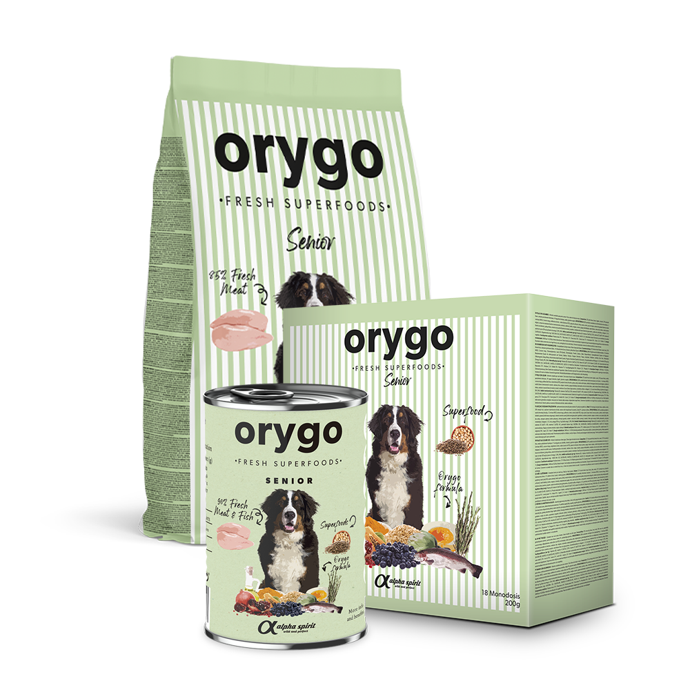 ORYGO Senior hundfoder för äldre hundar
