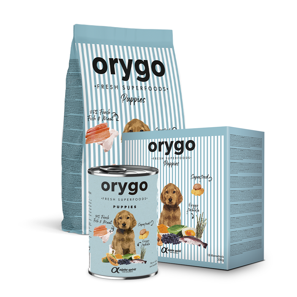 ORYGO Puppies valpfoder