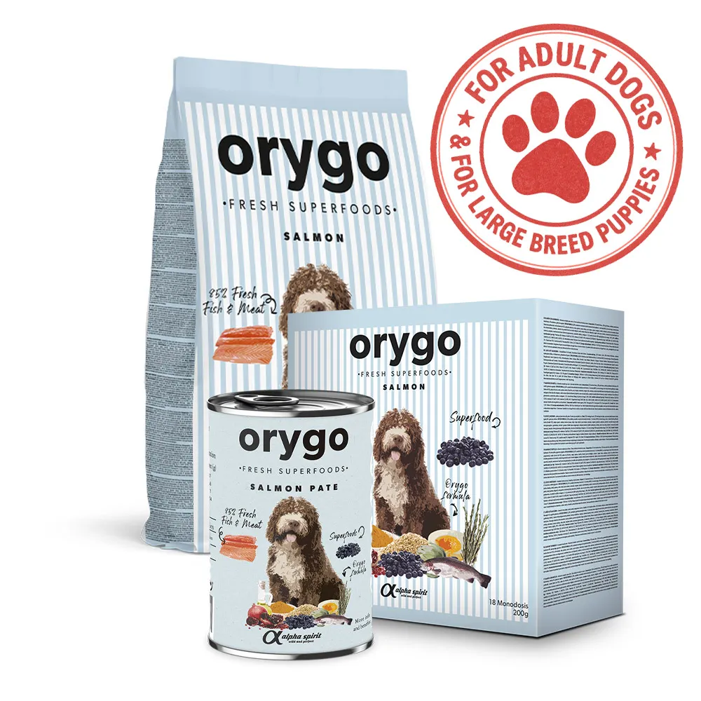 Orygo Salmon